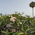 ヴィラ Dora Bella Lanzarote *