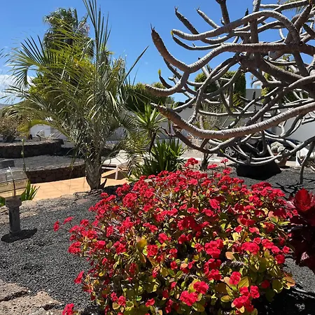 Dora Bella Lanzarote Villa *