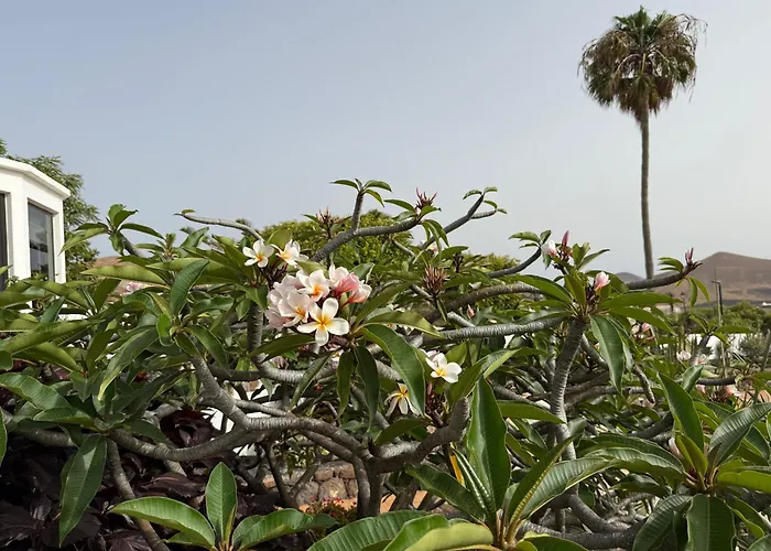 别墅 Dora Bella Lanzarote *